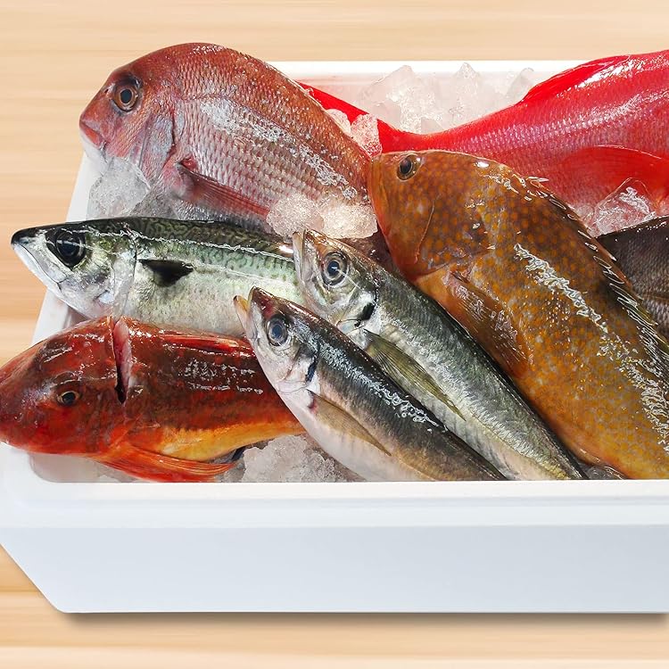 Amazon.co.jp: 魚水島 厳選 日本海の鮮魚セット「海におまかせ・大漁箱